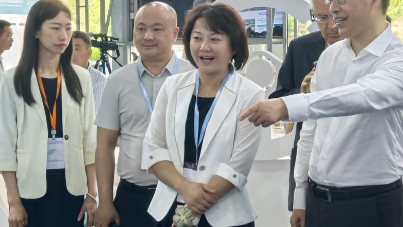 汽车零部件生产厂家排名揭秘：如何甄别优质供应商
